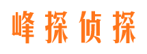 中方出轨调查